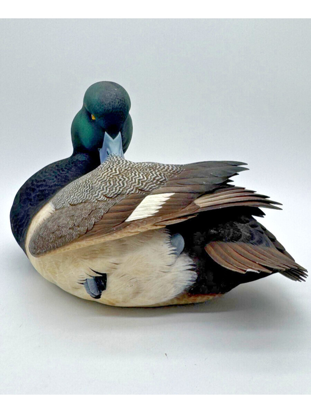 Ducks Unlimited 2007-08 Jett Brunet Greater Scaup Bluebill Decoy